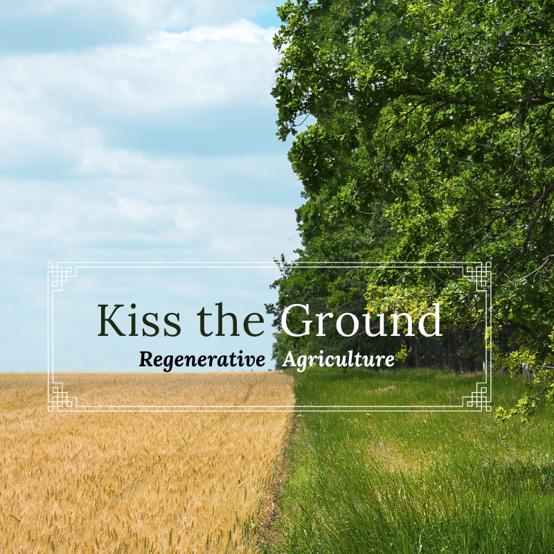 Causes We Support: Kiss the Ground