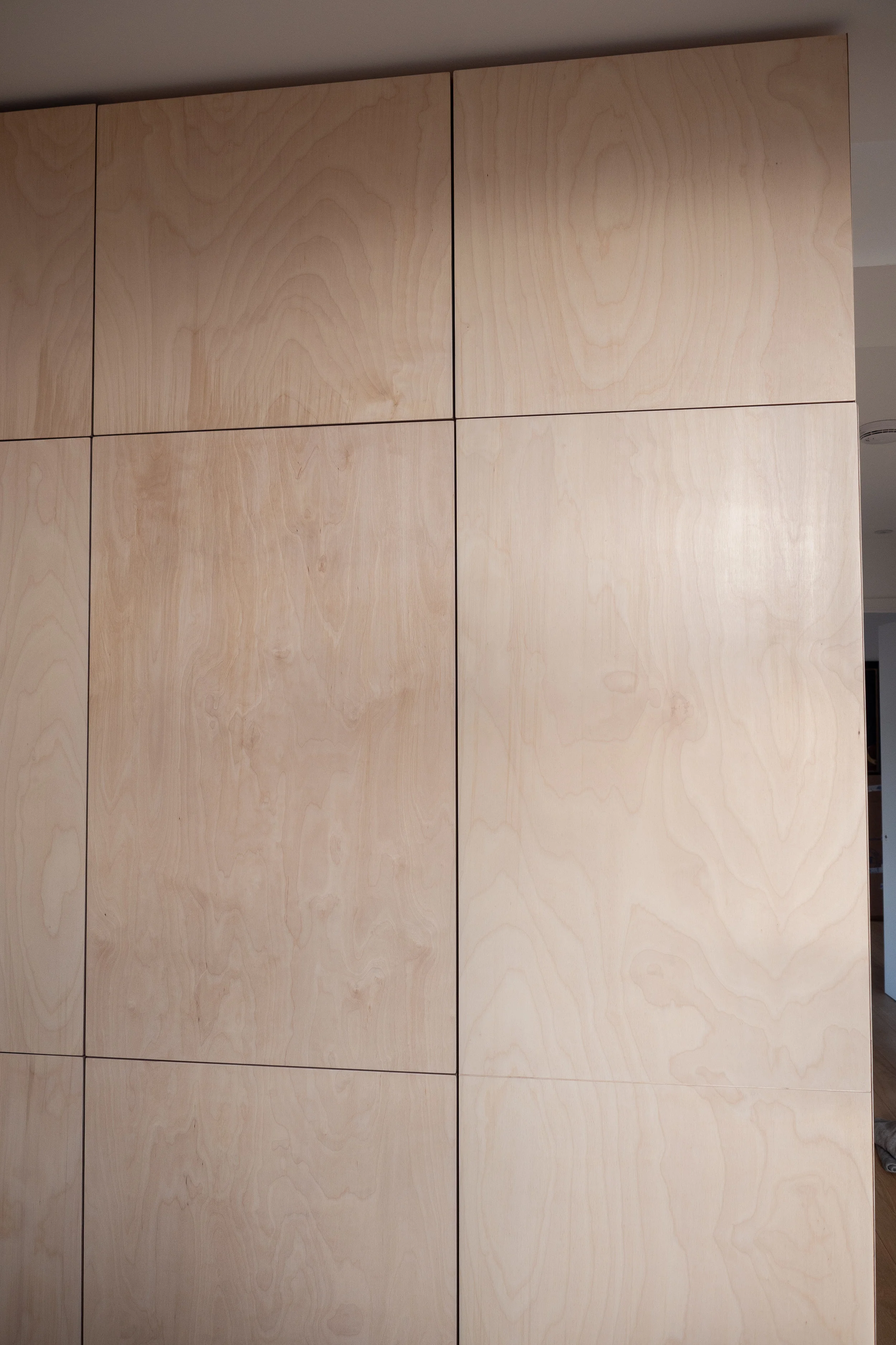 Birch ply doors showing their beautiful finish