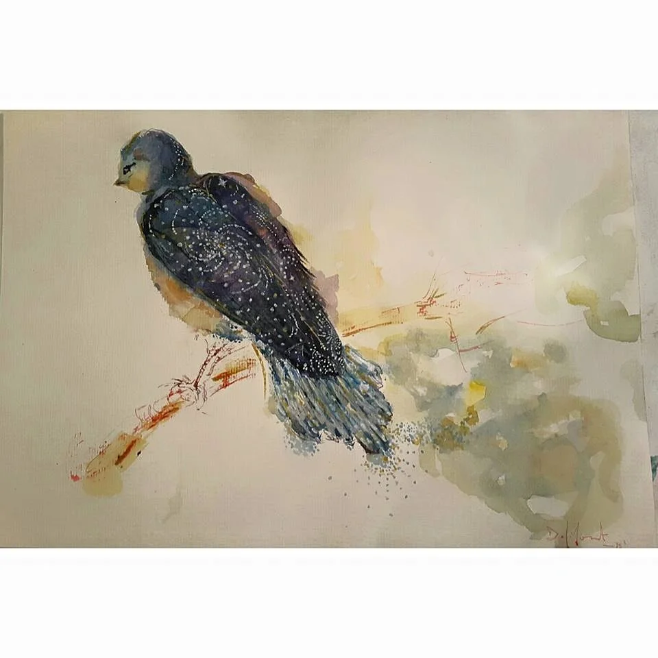 El Universo esta en Vos