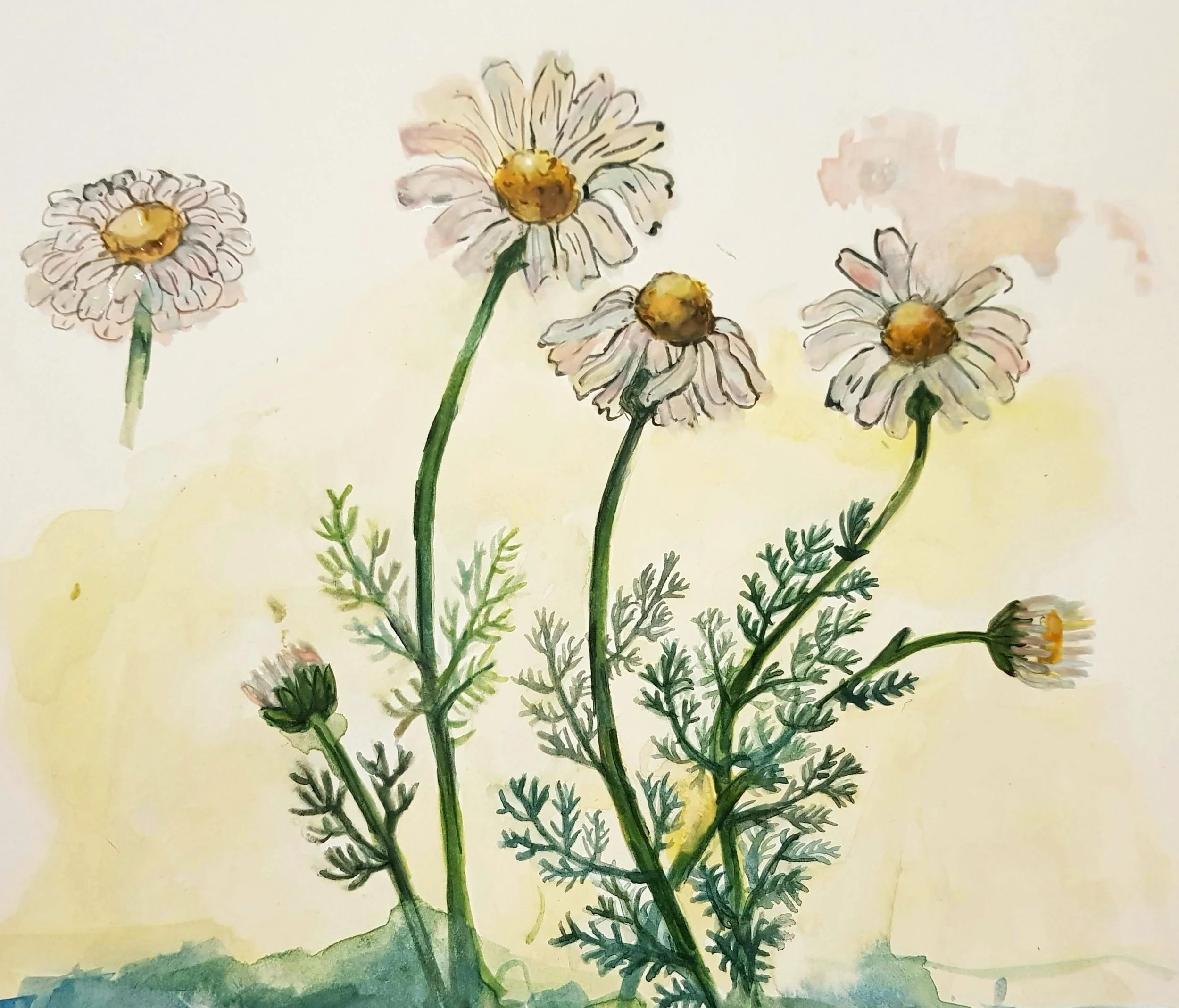 manzanilla print.jpg