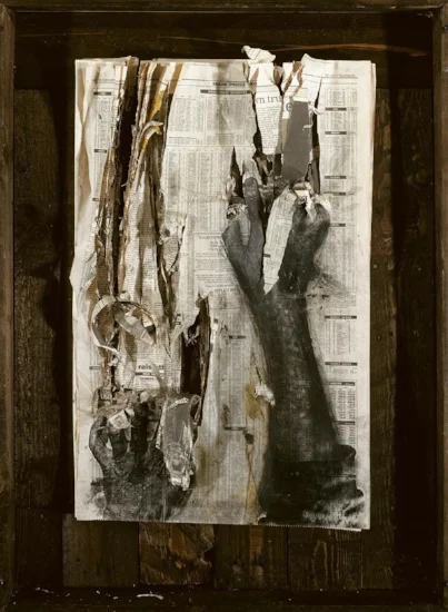Image 3 copy.jpg