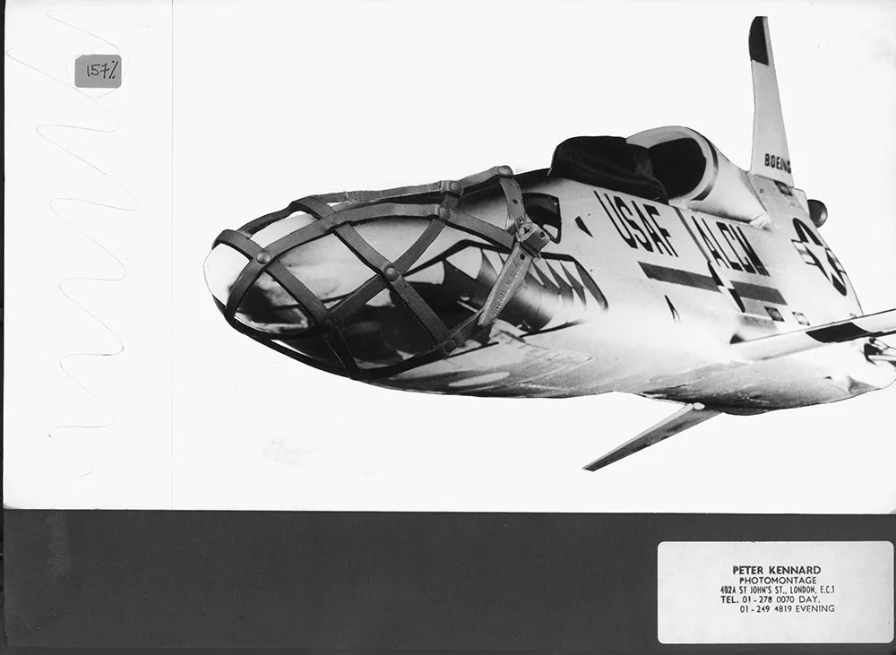 muzzled 1000 bw copy.jpg