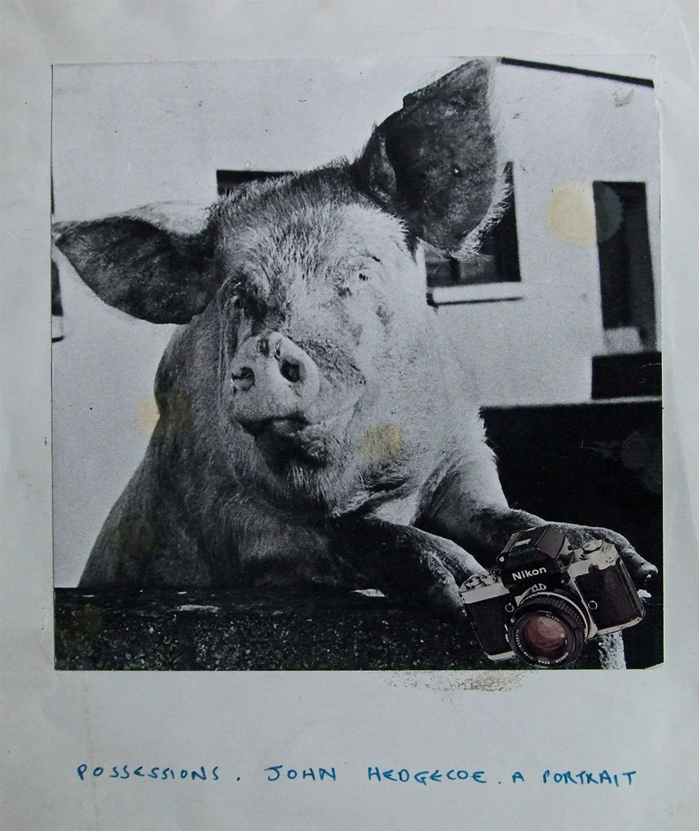 pigcamera.jpg