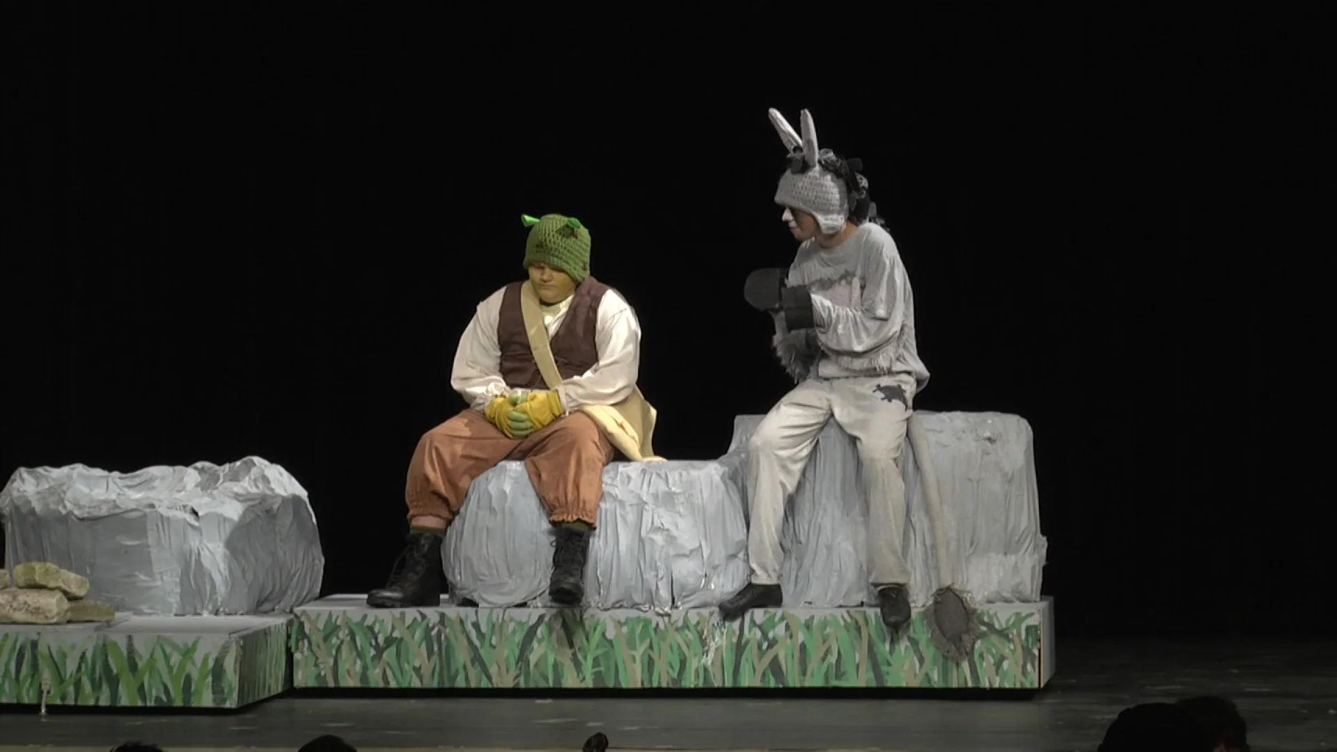Memorial HS - Shrek 14 - DVD Pics - 06.jpg