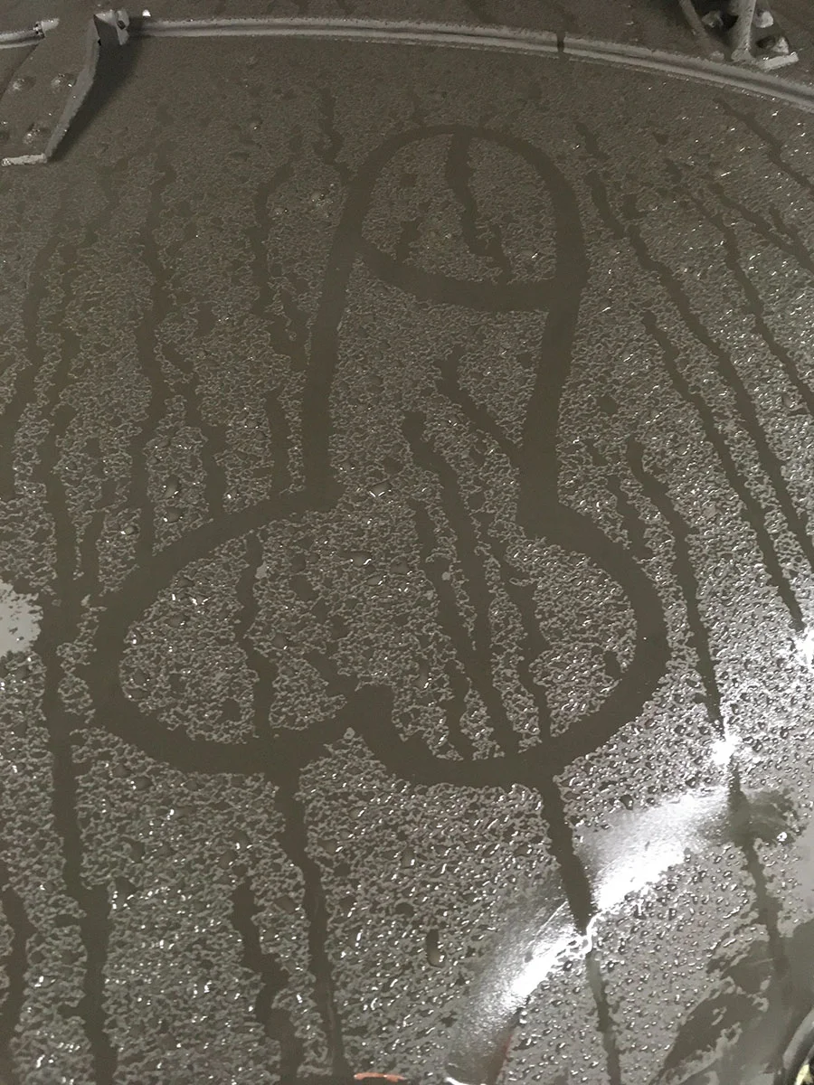 225.jpg