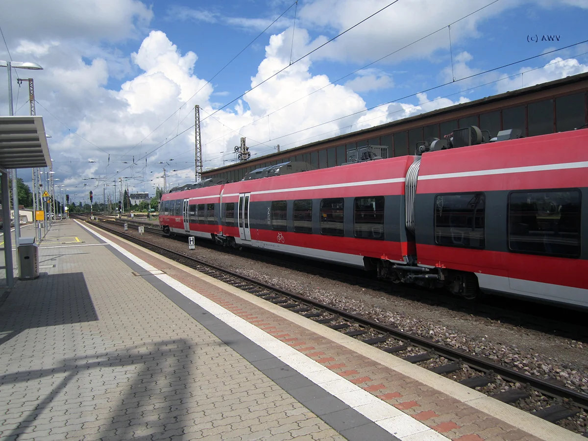 251.jpg
