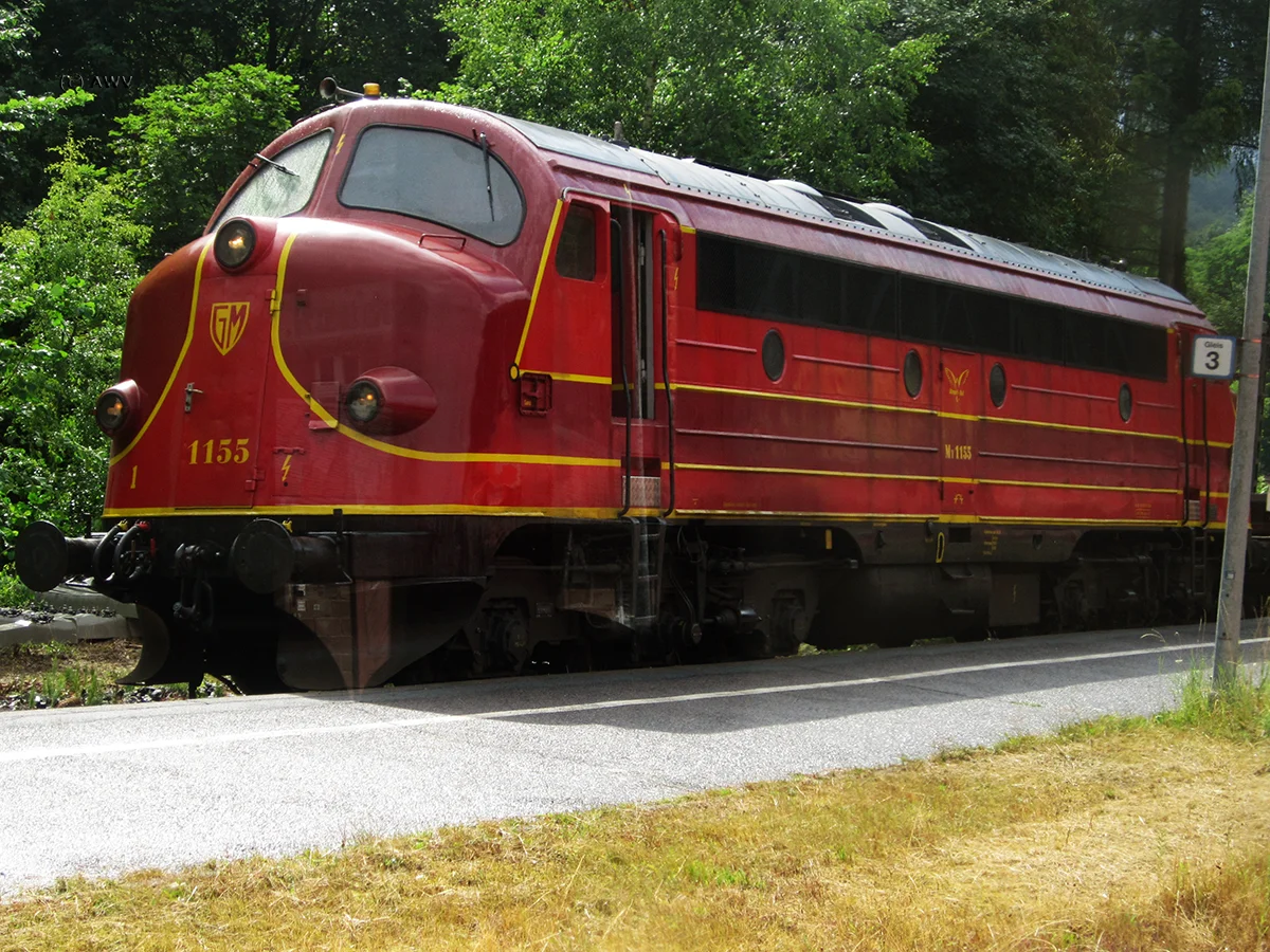 254.jpg