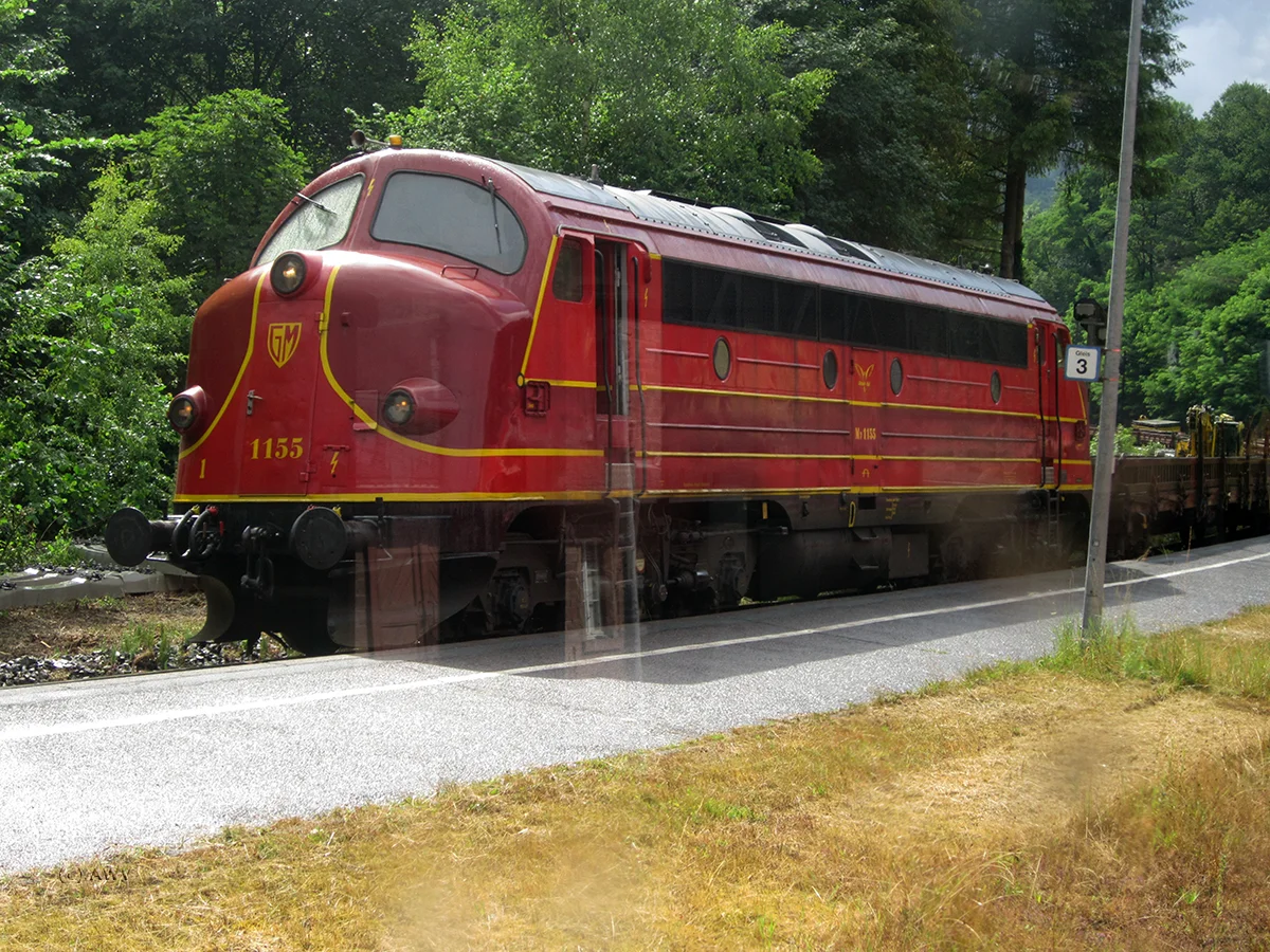 253.jpg