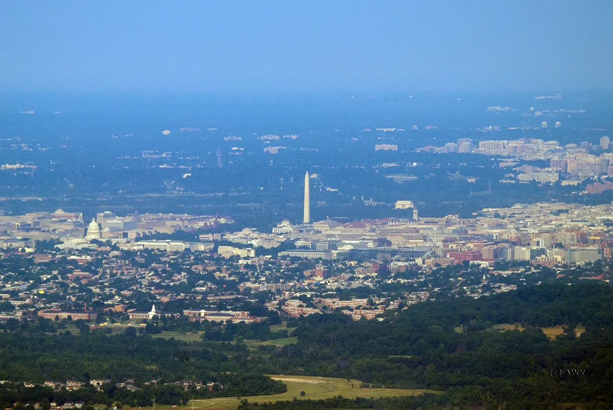 277.jpg