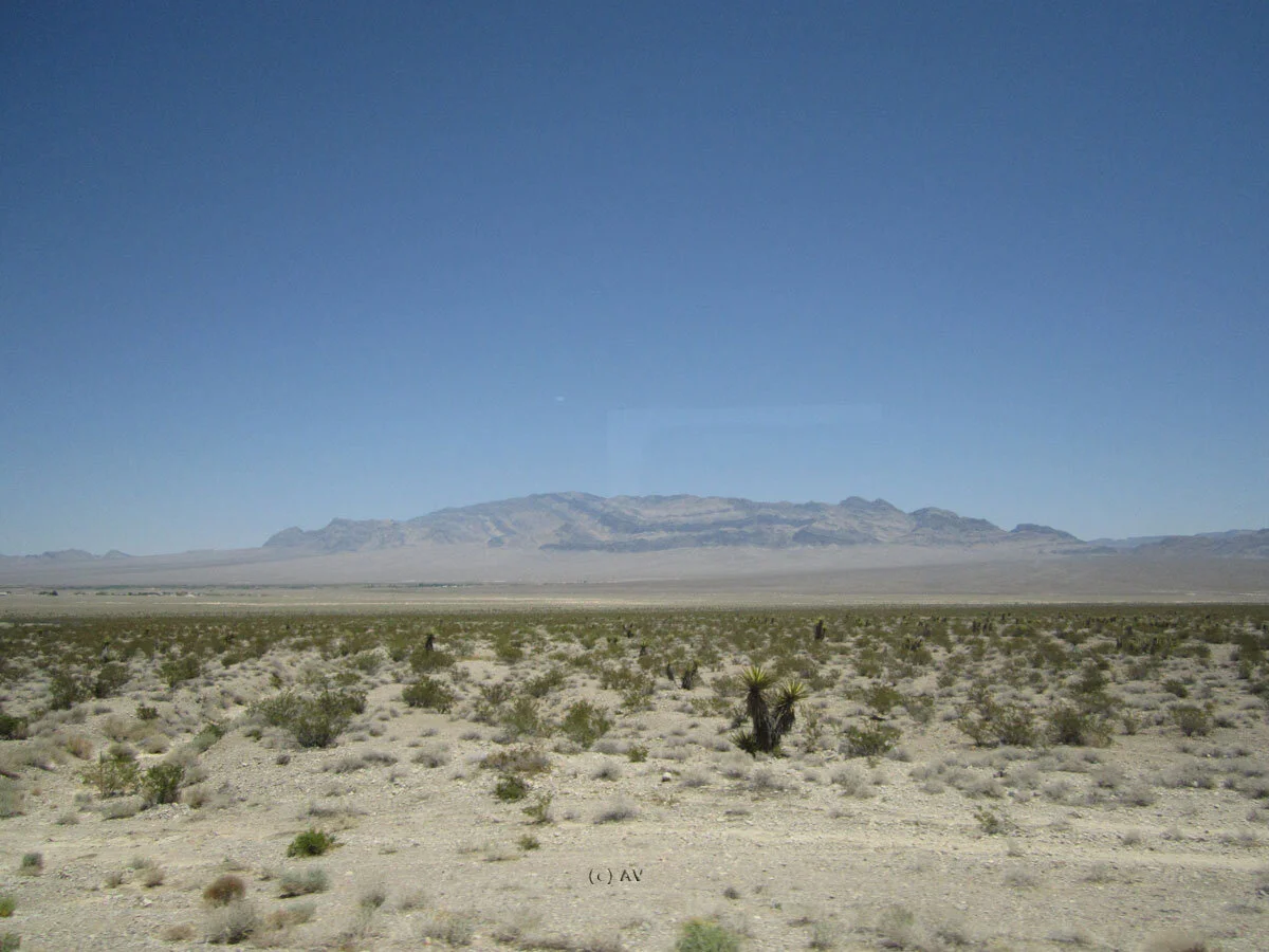 117.jpg