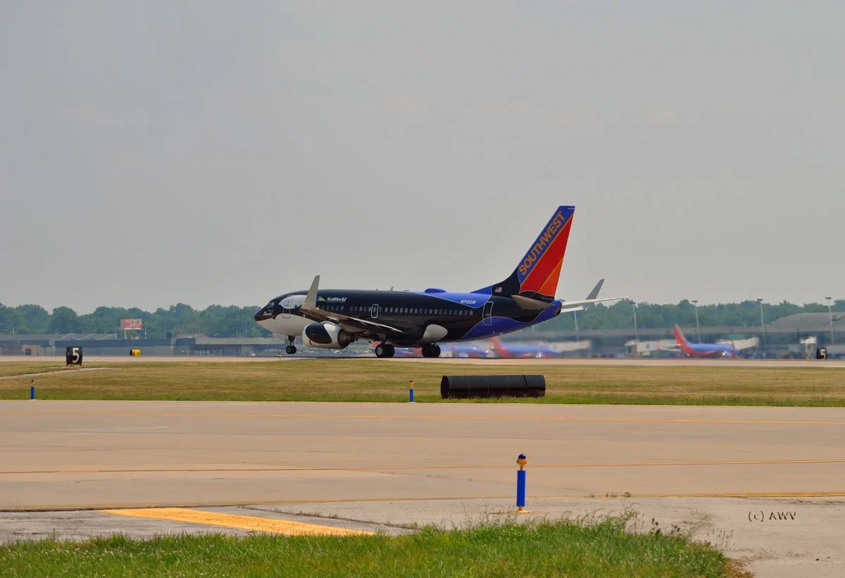2-275.jpg