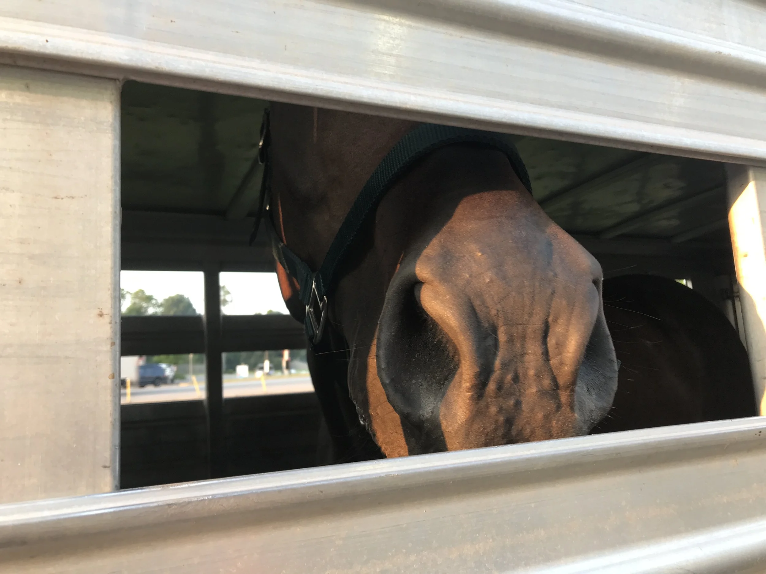 2022-08-27 001 2.JPG