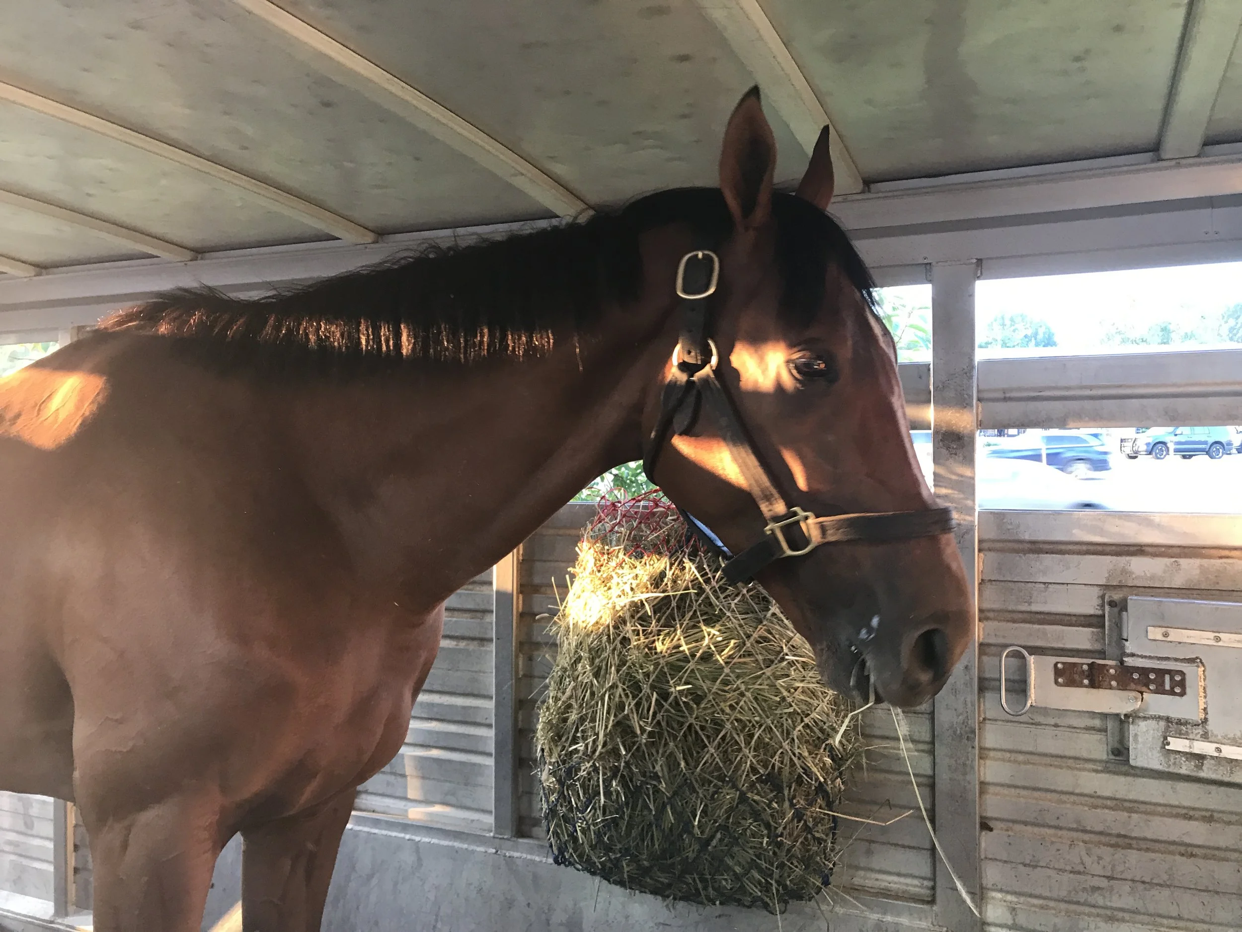 2022-08-27 002 2.JPG