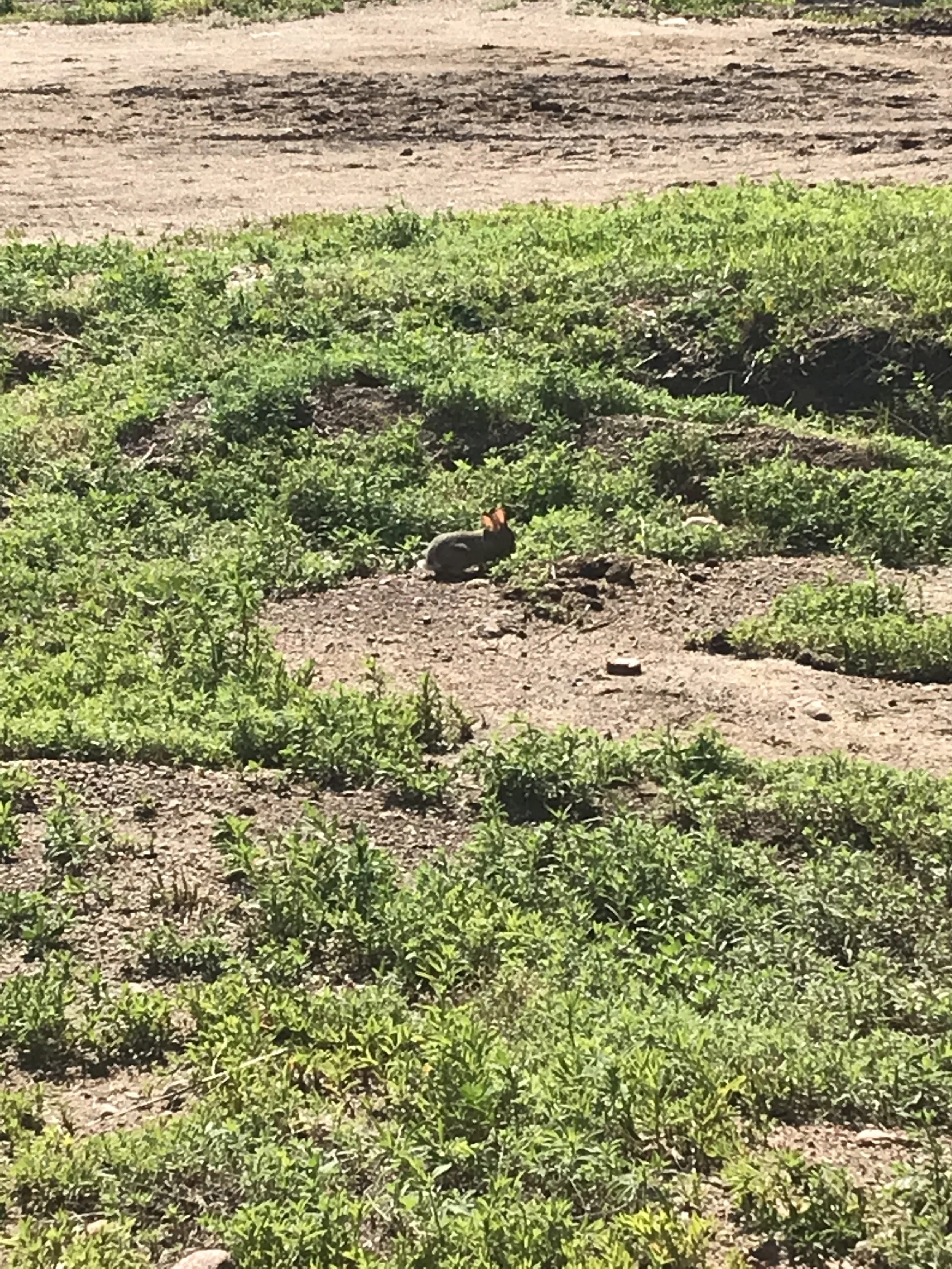 2023-06-18 001 2.JPG