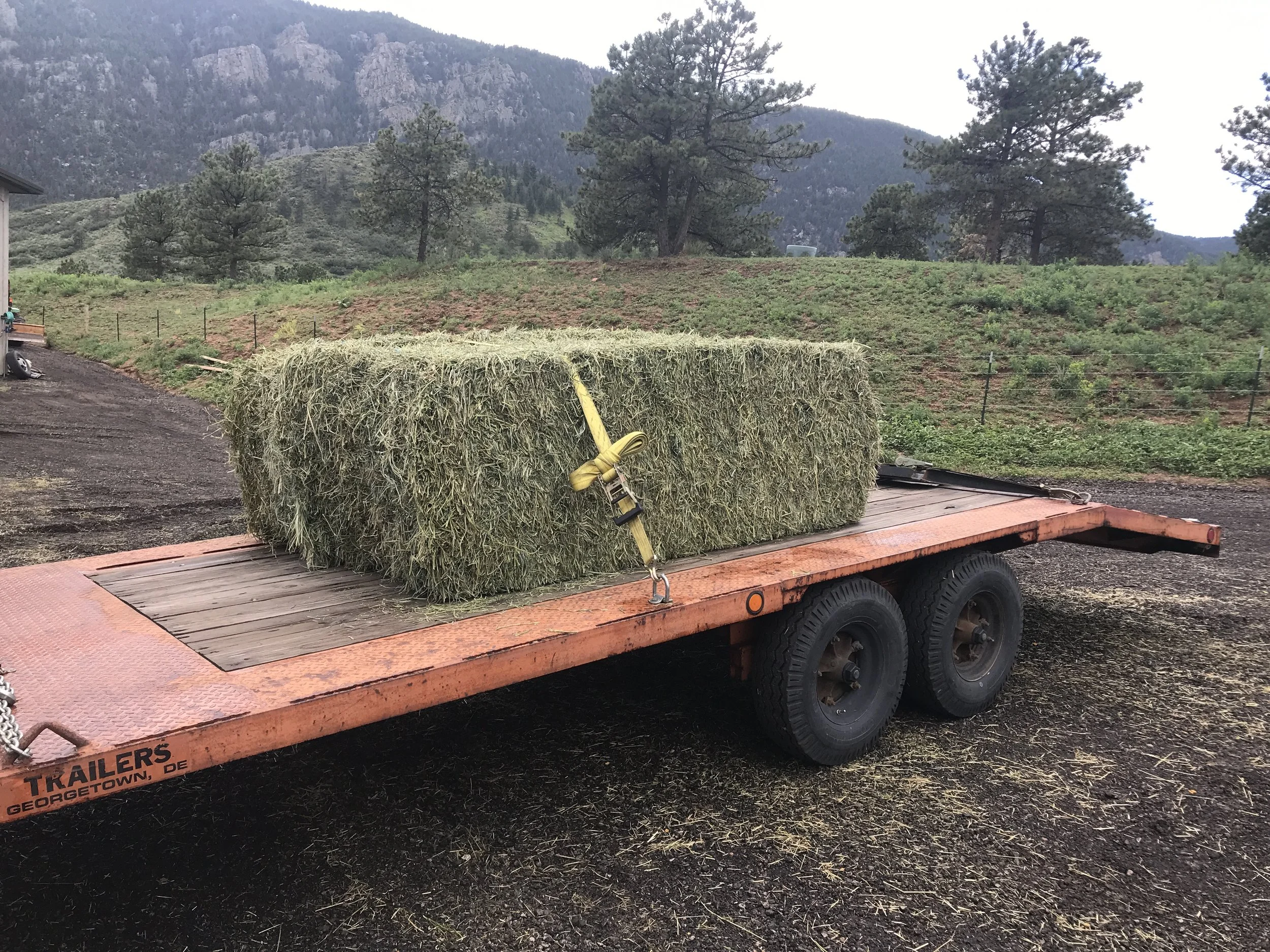 2023-07-19 002 copy.JPG