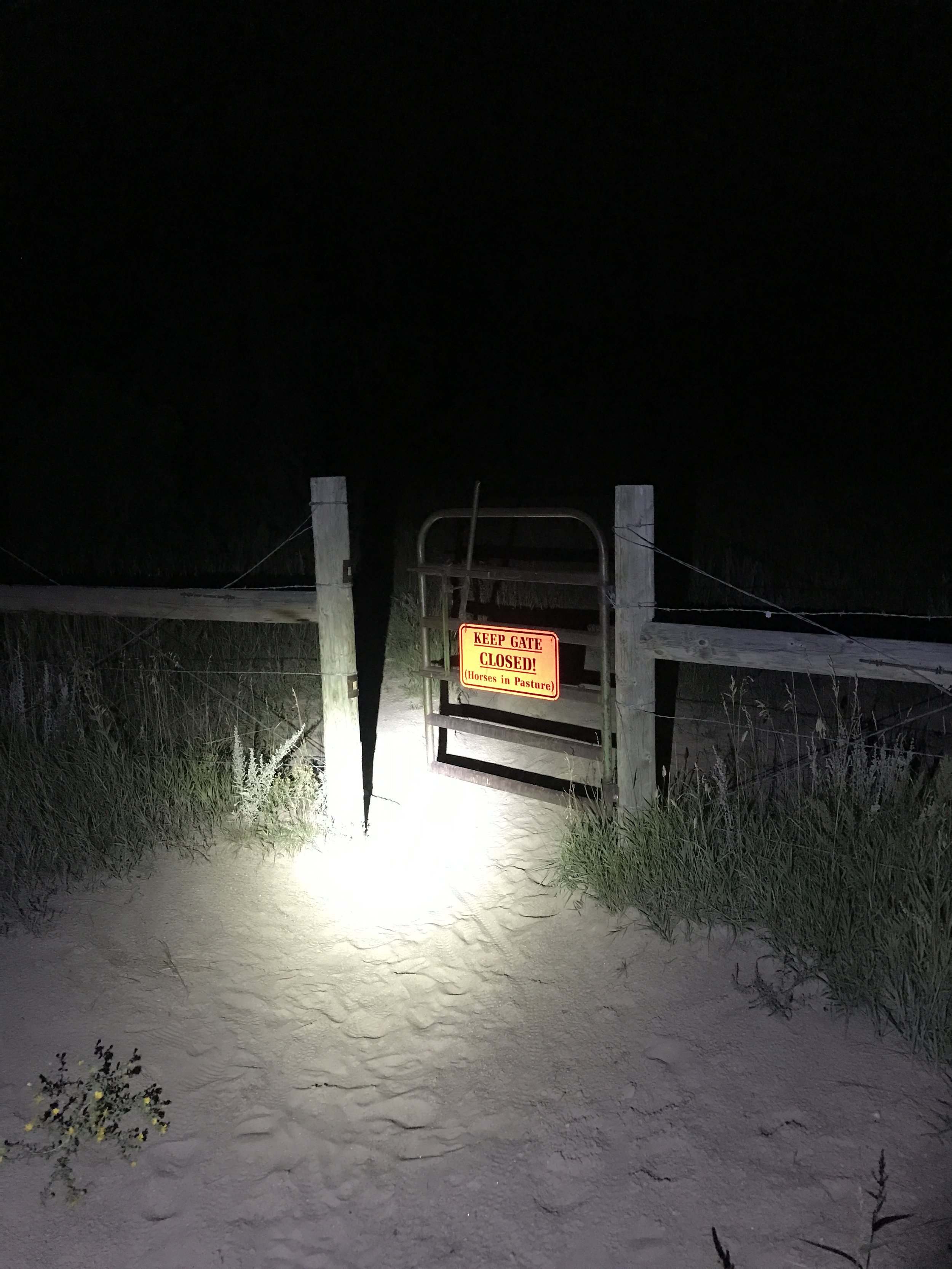 2023-09-03 001 copy.JPG