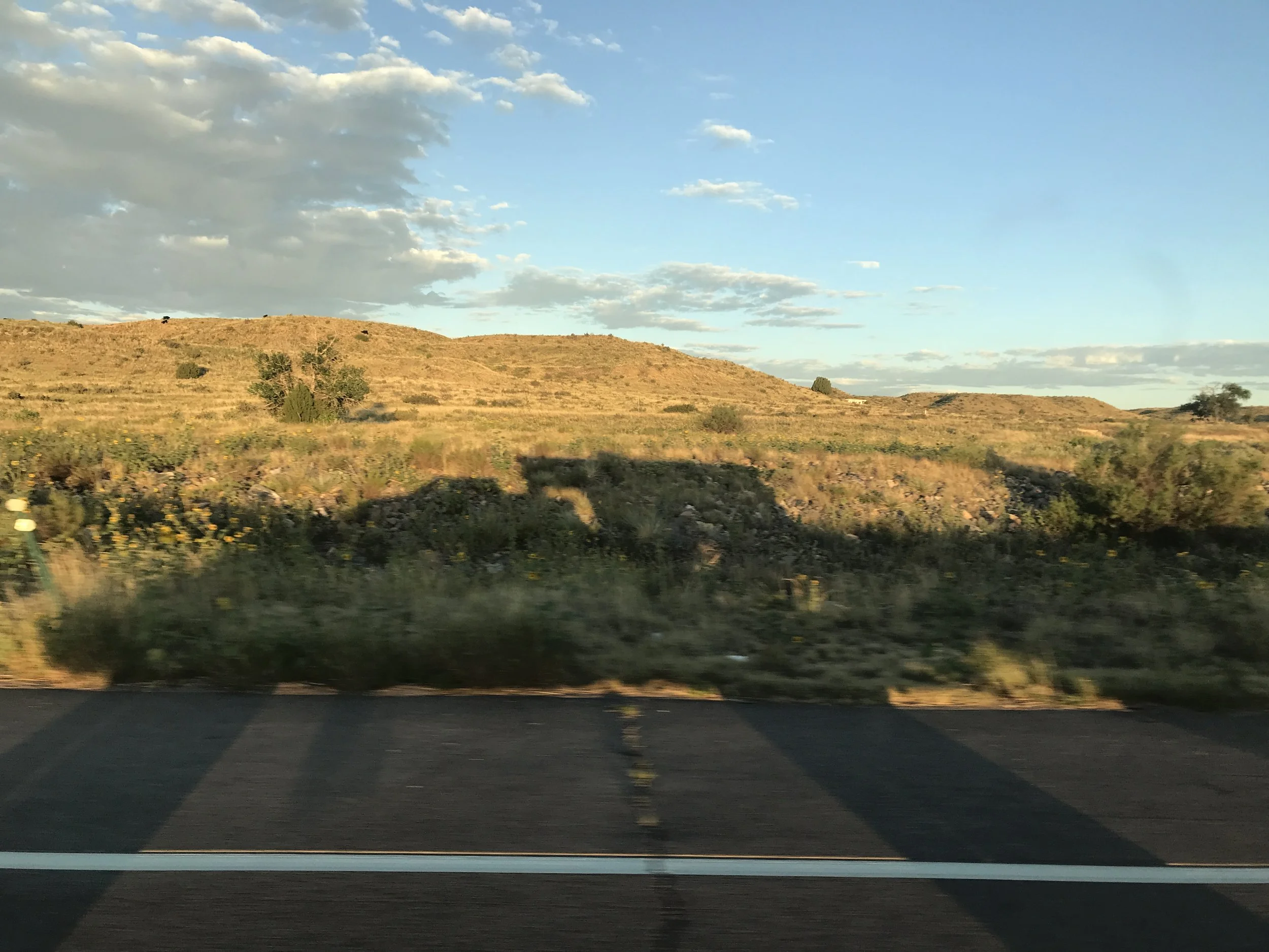 2023-09-03 001.JPG