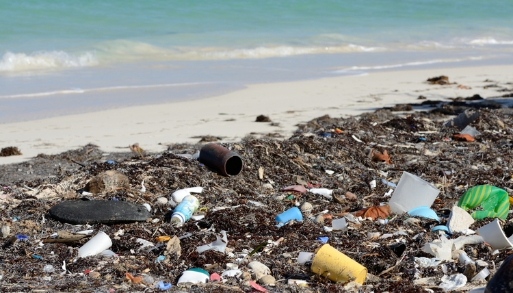 Marine Debris... the all too common site. Image via Positive Change for Marine Life
