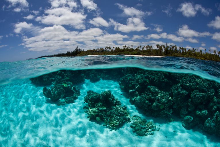 Amazing capture in New Caledonia from Earth Times