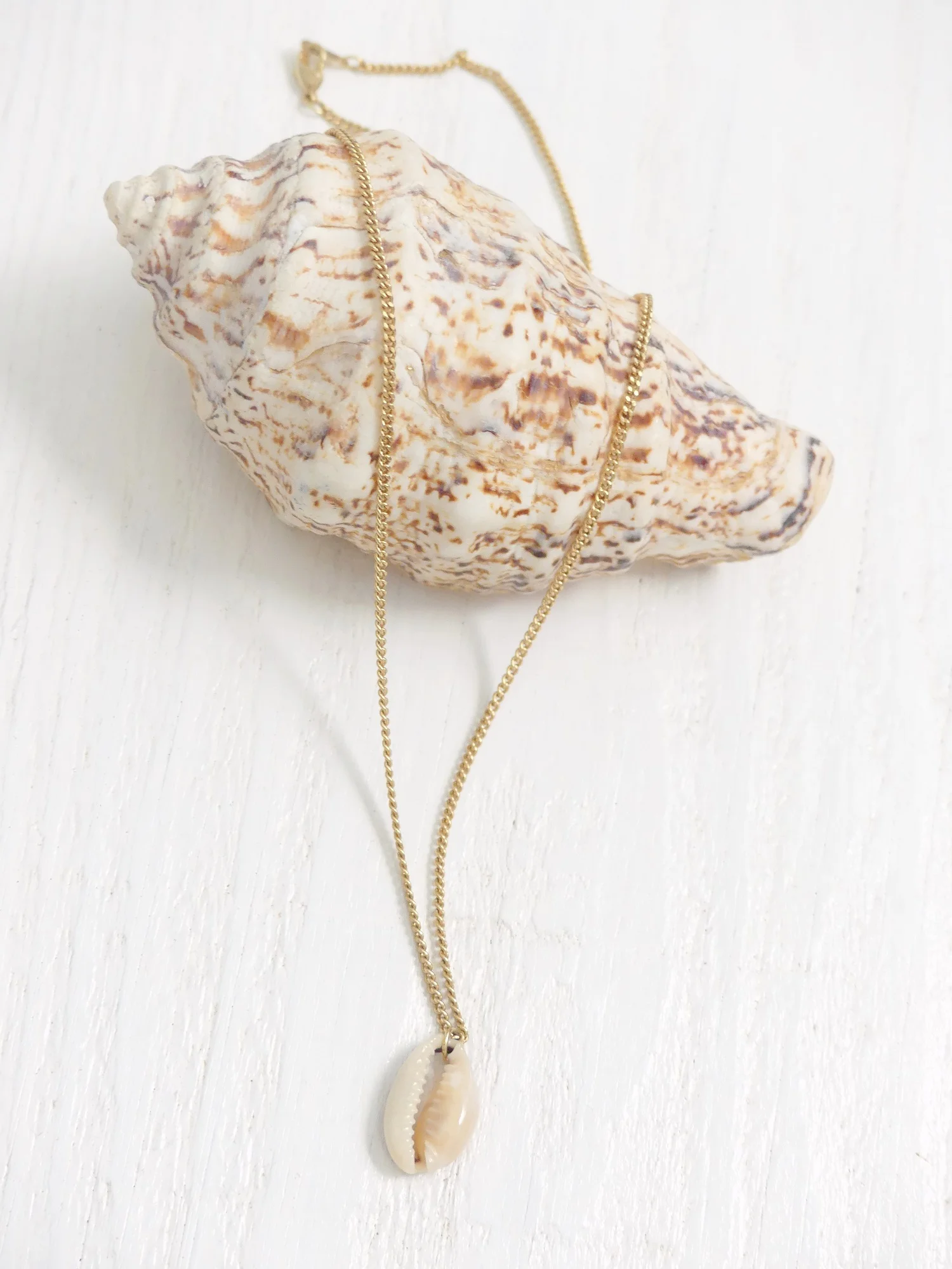 golden-cowrie-pendant-two-in-the-sun.JPG