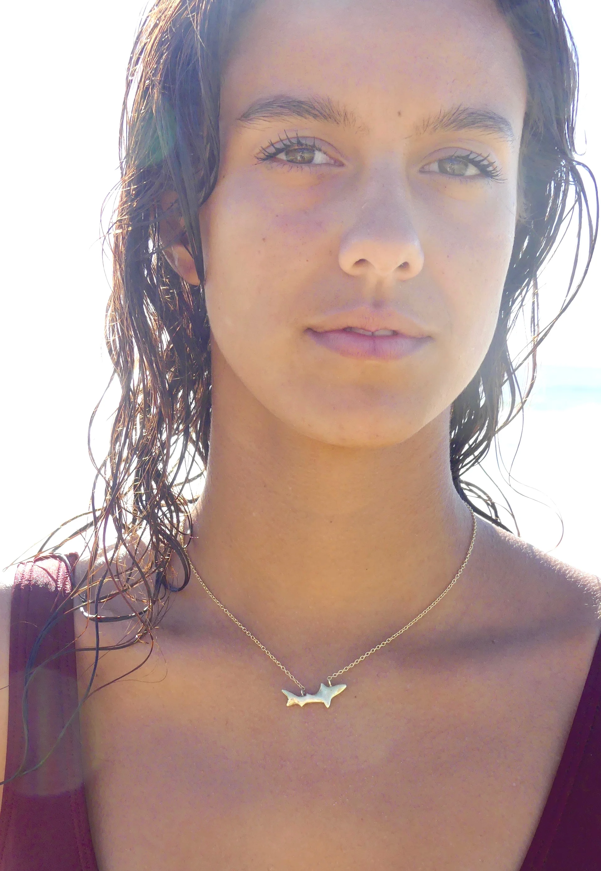 golden-shark-two-in-the-sun.jpg