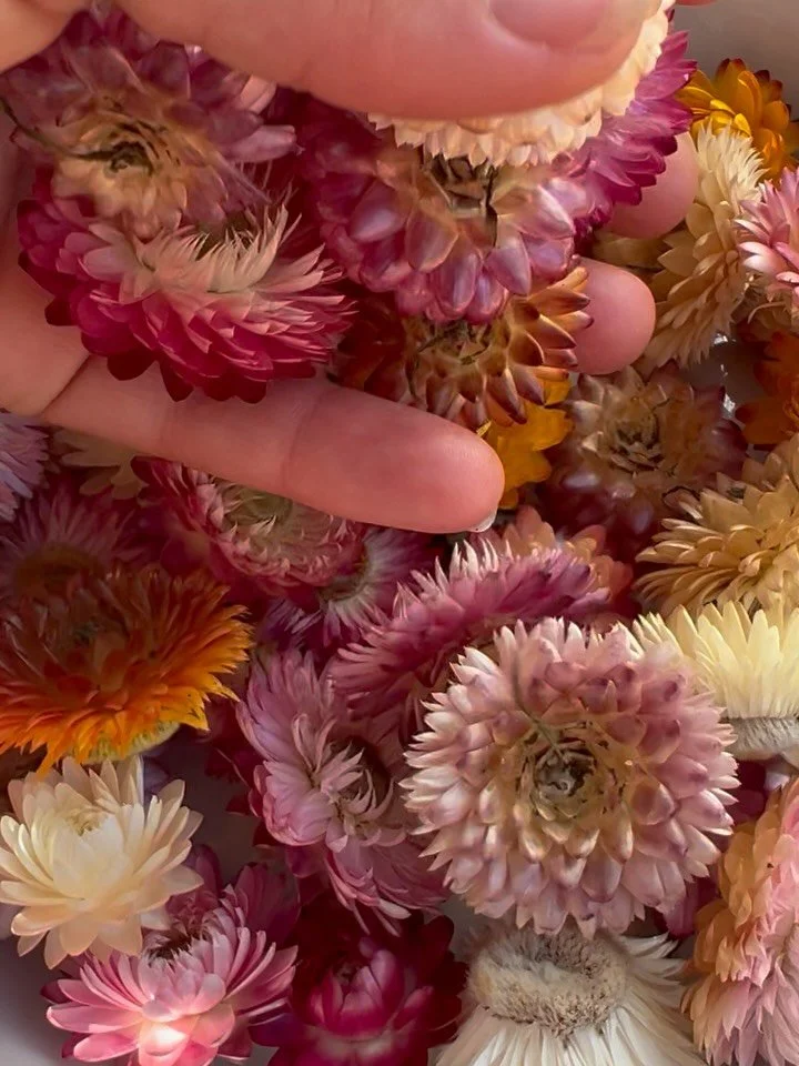 Because daisies make everything better 🌼

#daisy #flowers #paperdaisies #flowerbath