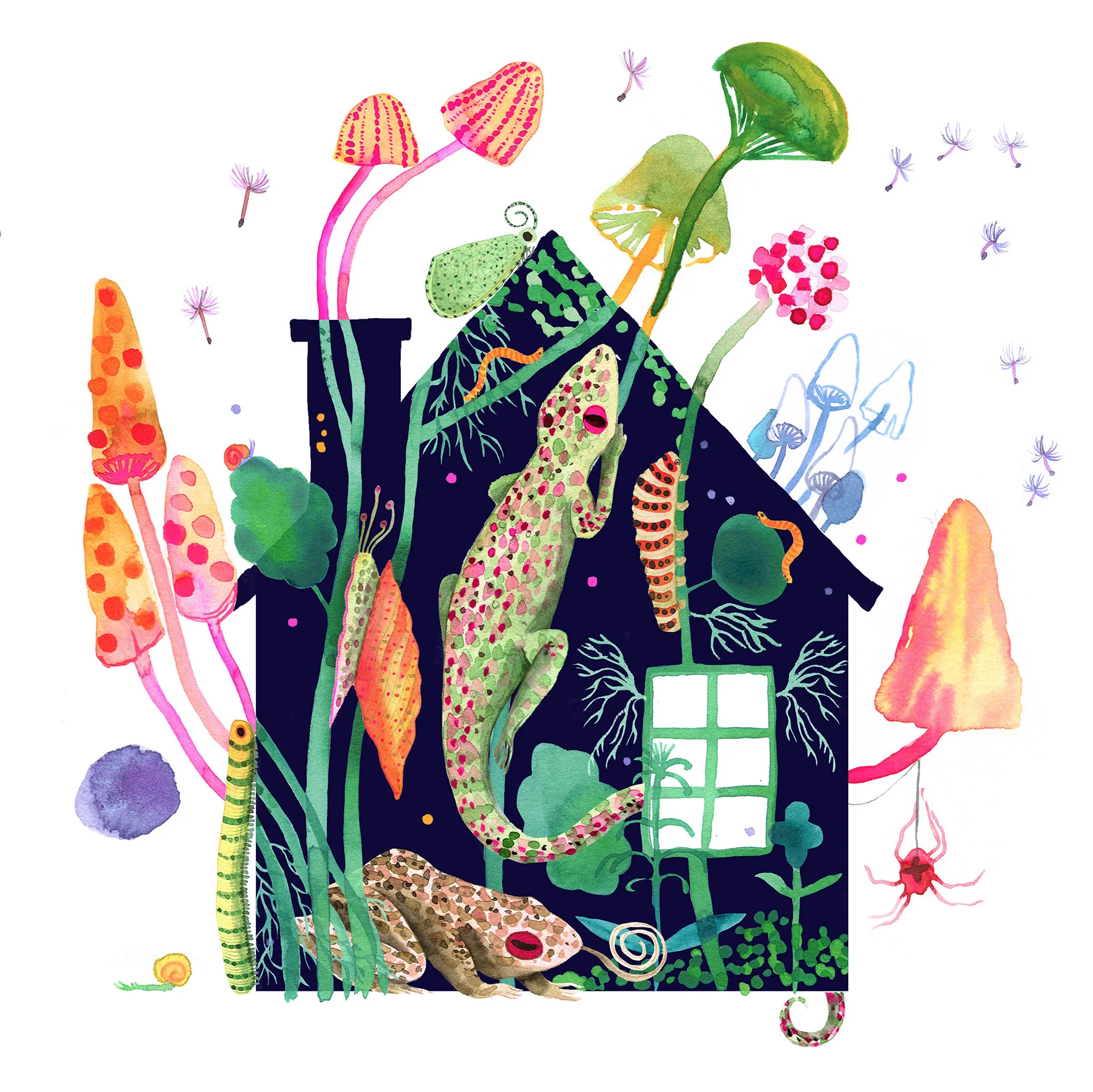 New York Times - For an article by Rob Dunn about the variety of life in our homes.