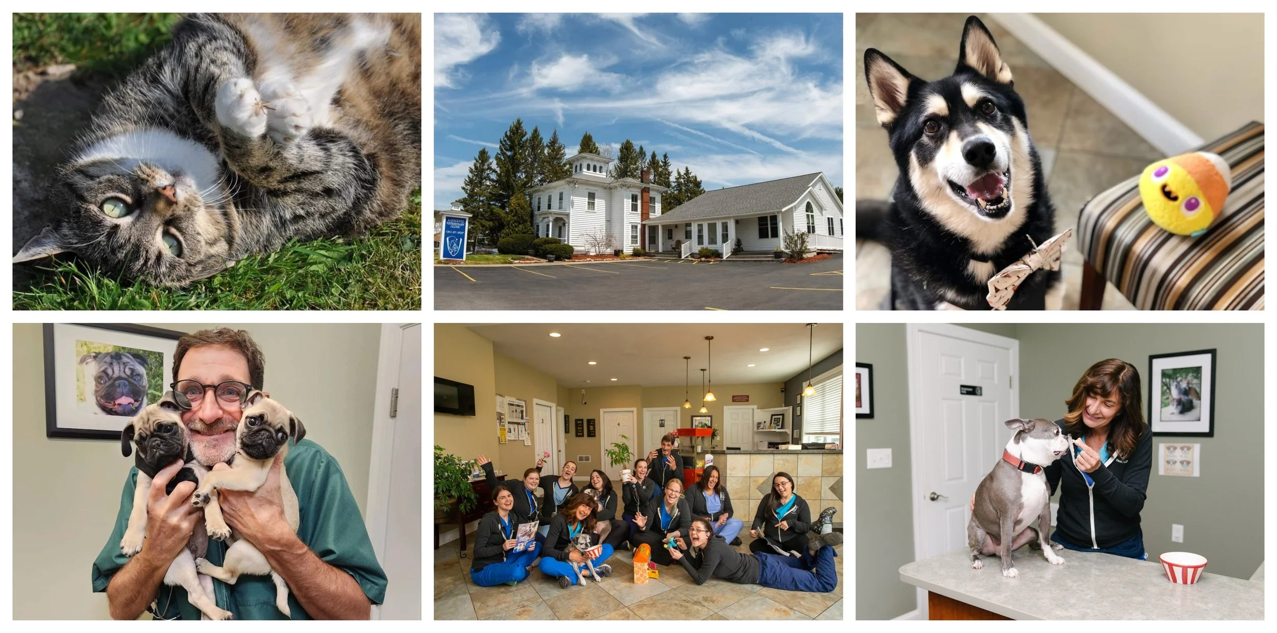 LAFAYETTE VETERINARY CLINIC