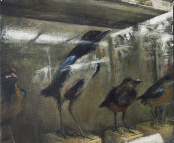 Display (Magpie) Acrylic and oil on canvas 38 x 46 cm 2012