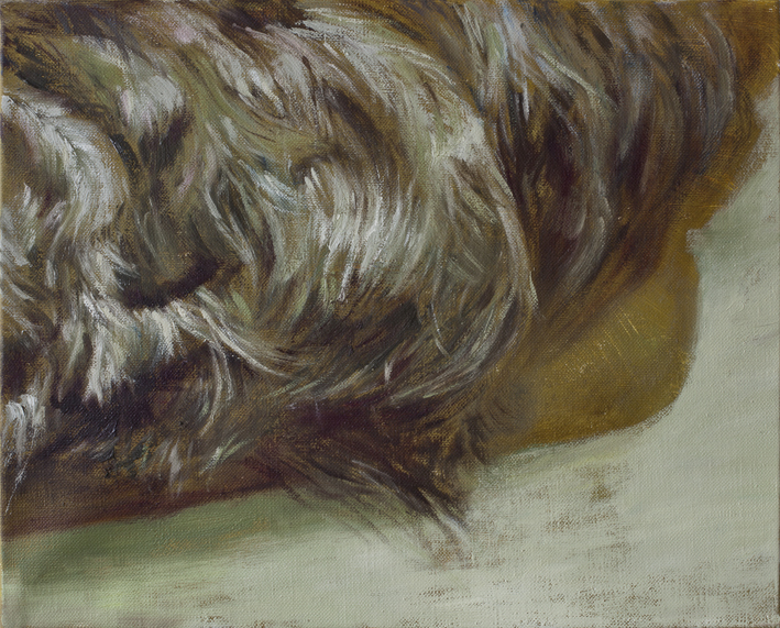 Display (Feathers) Oil on canvas 33x41 cm 2013