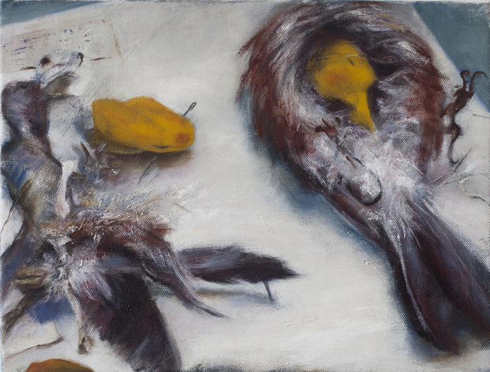 Display (Taxidermy) IV Oil on canvas 27 x 35 cm 2013