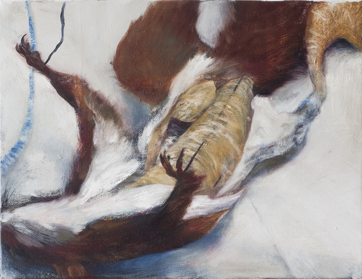 Display (Taxidermy) III Oil on canvas 27 x 35 cm 2013