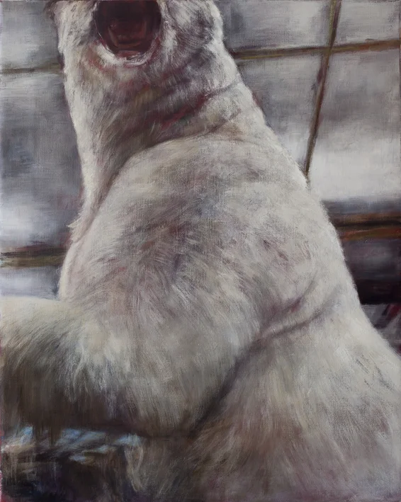 Display (Ursus Polaris) Acrylic and oil on canvas 100x80 cm 2013
