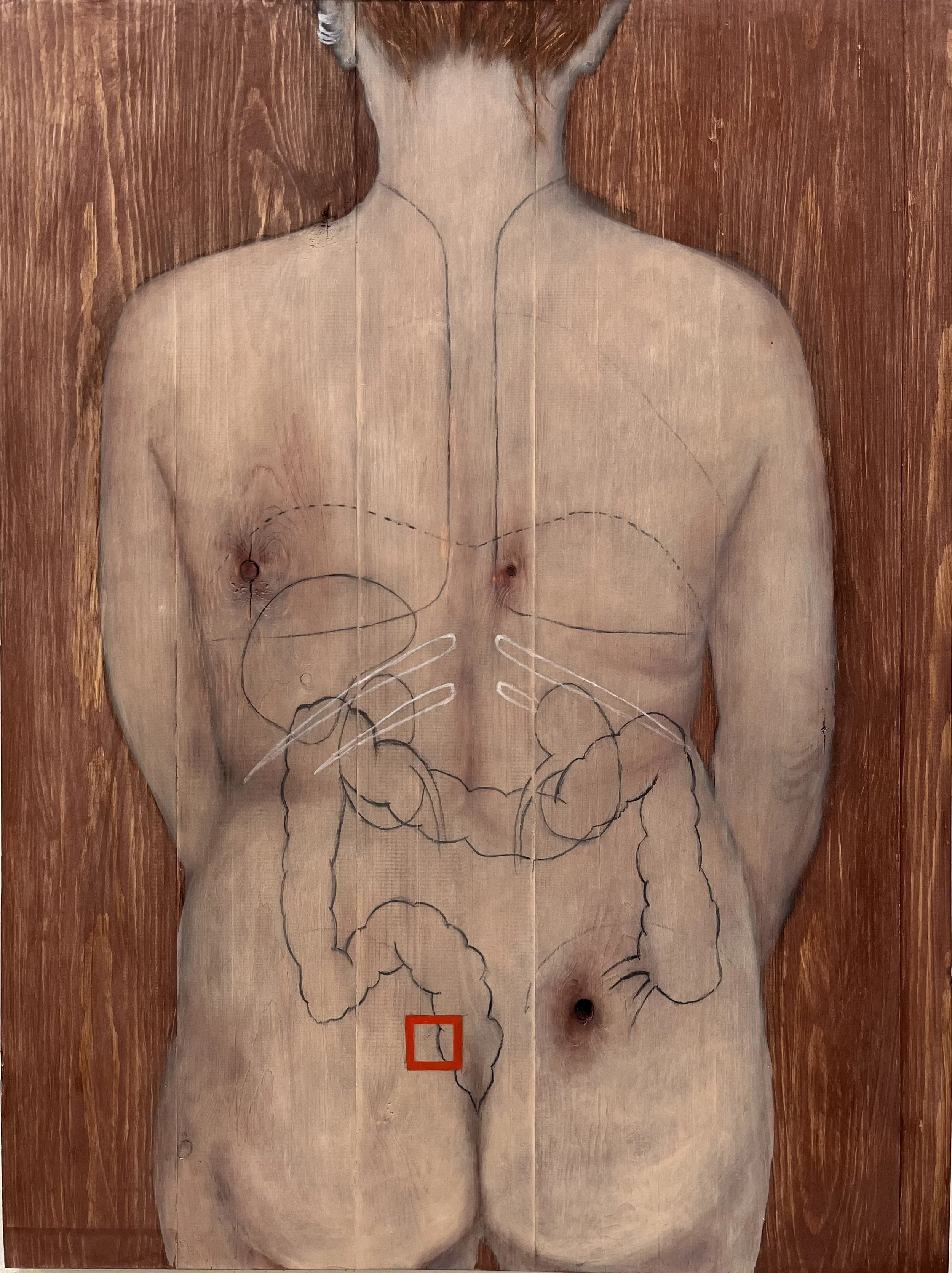   From the series infested   2024 Oil on wood  81 x 60 cm 