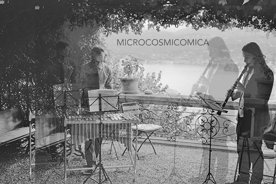 microcosmicomica.jpg