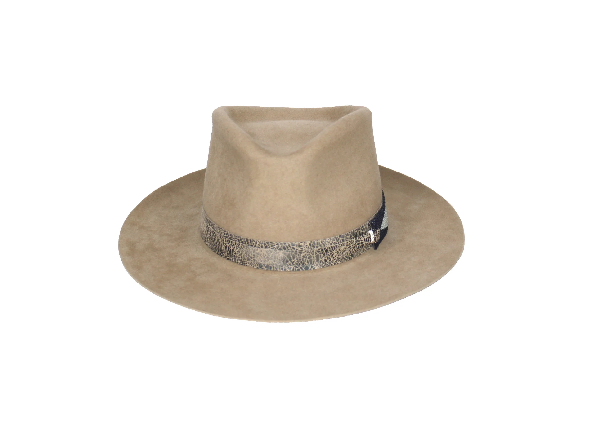 Vision Fedora with Metallic Stingray