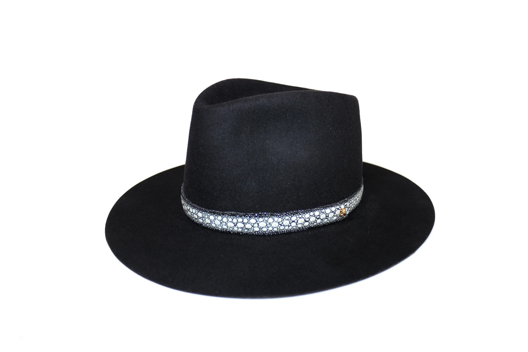 Jackson with Stingray