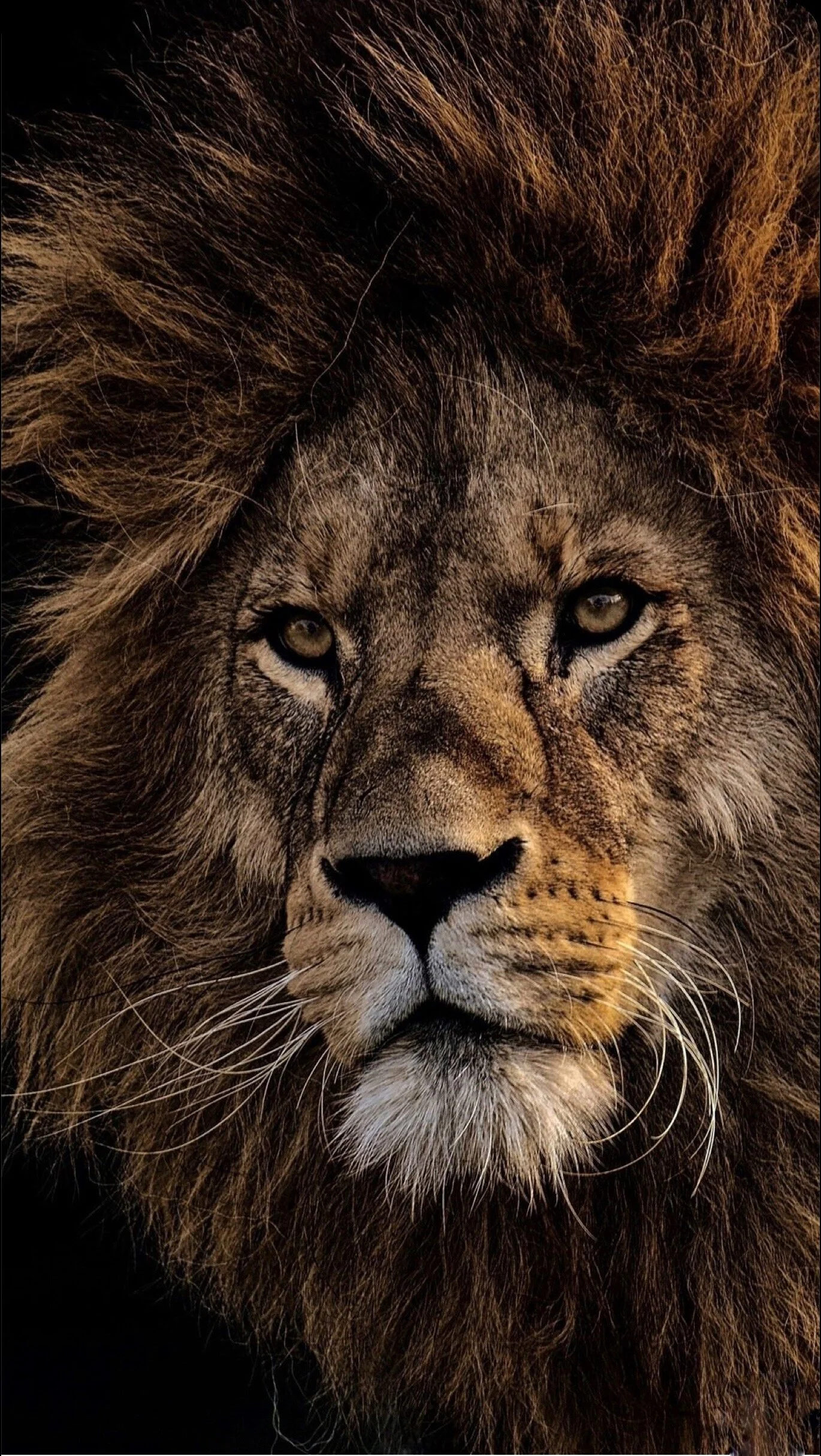 LEVELS OF CONSCIOUSNESS