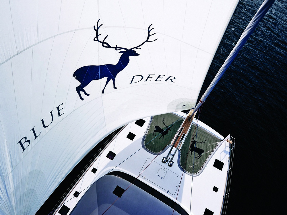 big_blue_deer_-_sun-23336722043_eda09d.jpg