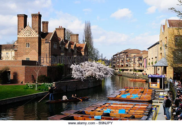 punting-at-magdalene-college-cambridge-england-uk-b9njpy.jpg