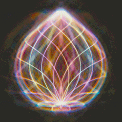 Intuition Prep Workshop