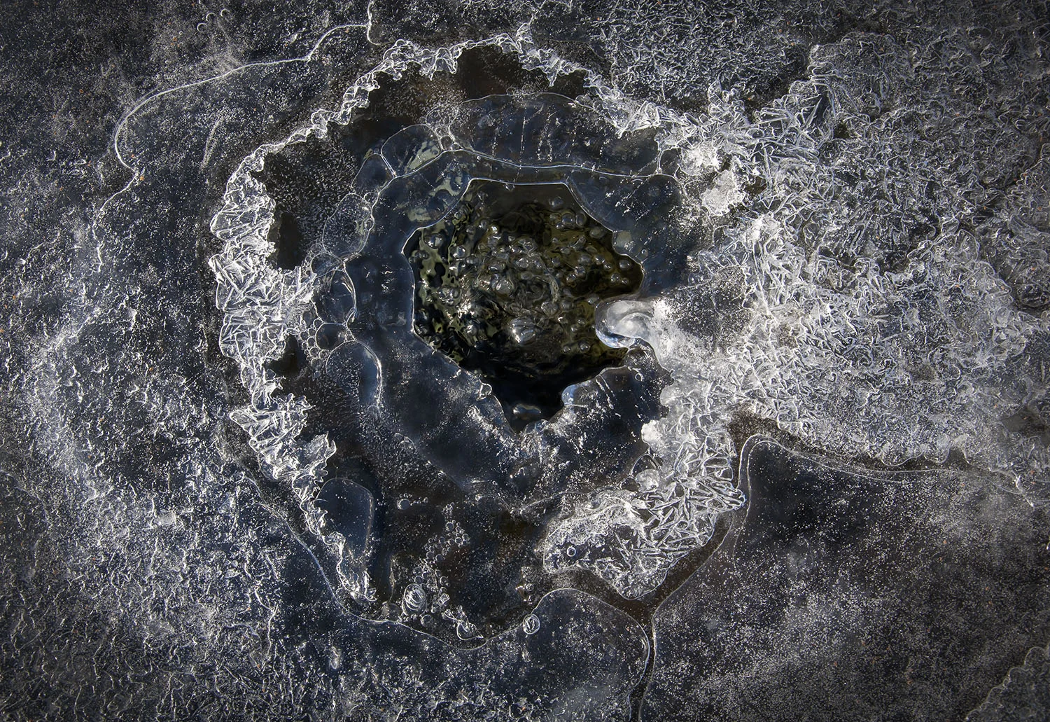 pond ice.jpg