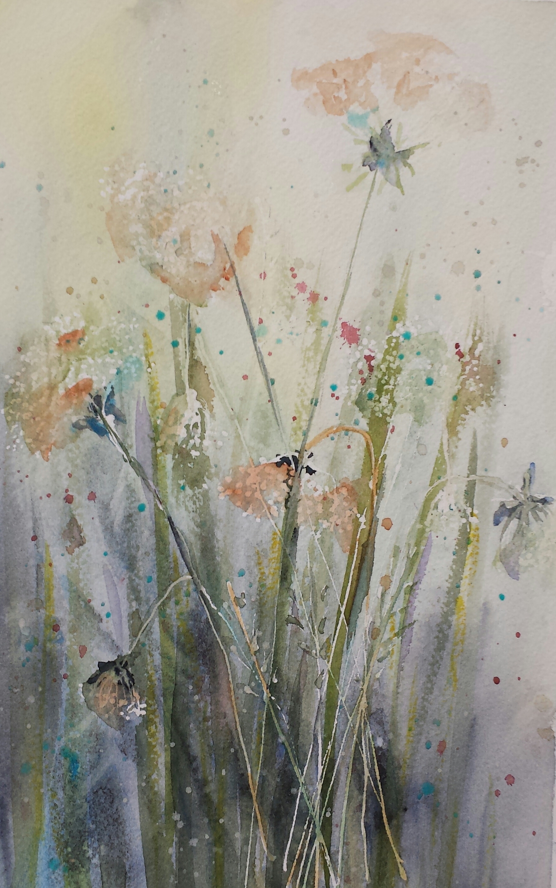 Queen Anne's Lace, 2016, watercolor.