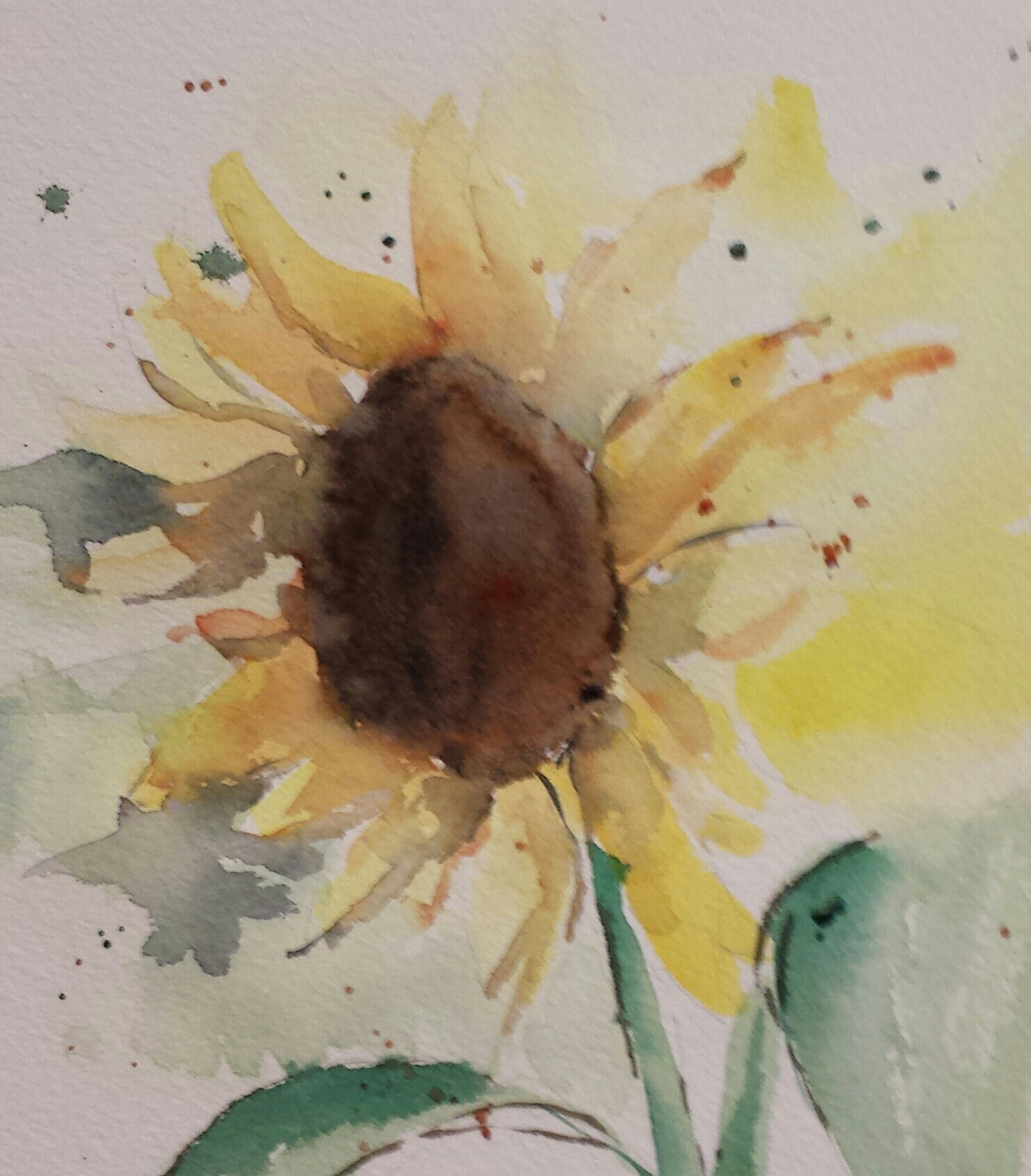 Sunflower, 2016, watercolor.