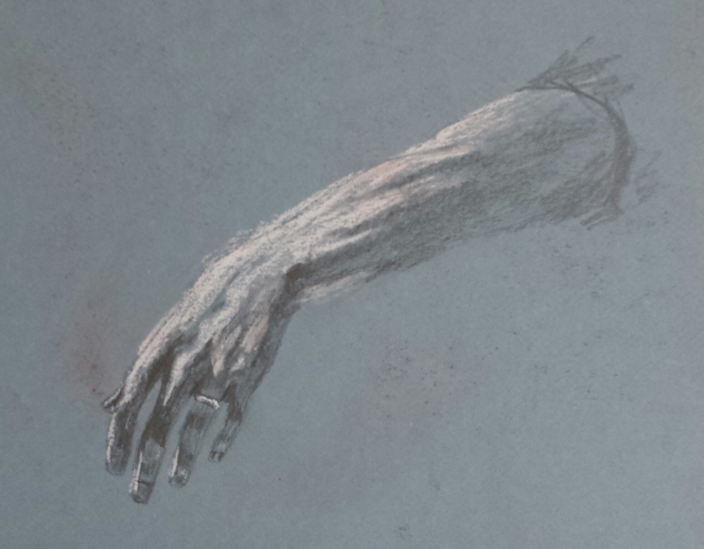 Study of an Arm, 2016, pastel.