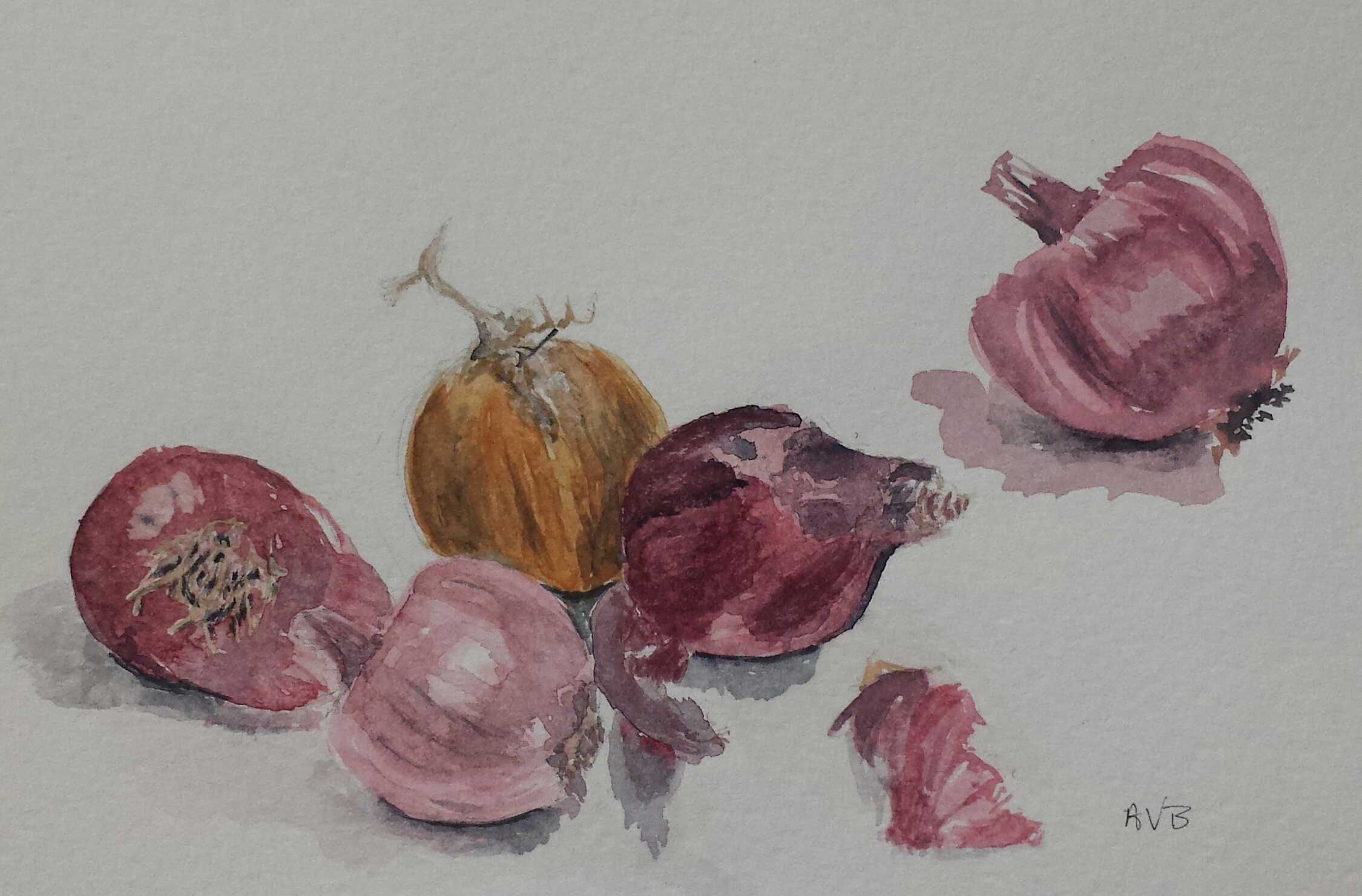 Red Onions, 2015, watercolor.