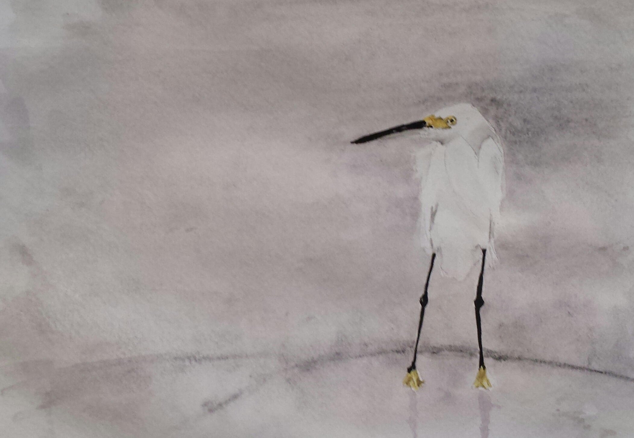 Snowy Egret, North Carolina, 2016, pen and watercolor.