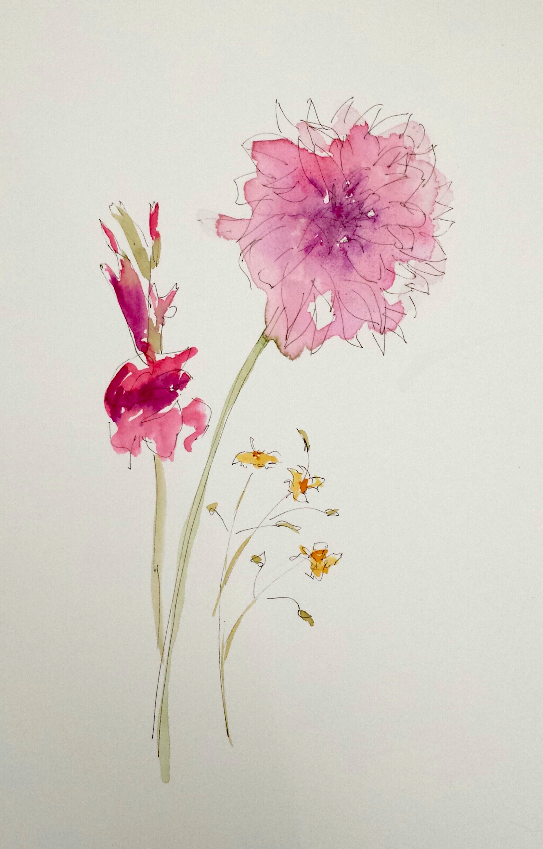 Pink Flowers, 2016, pen, ink, and watercolor, 10 in x 6 in.