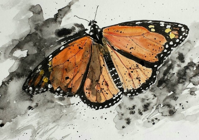 Butterfly, pen and ink and watercolor, 6" x 8", 2016; SOLD