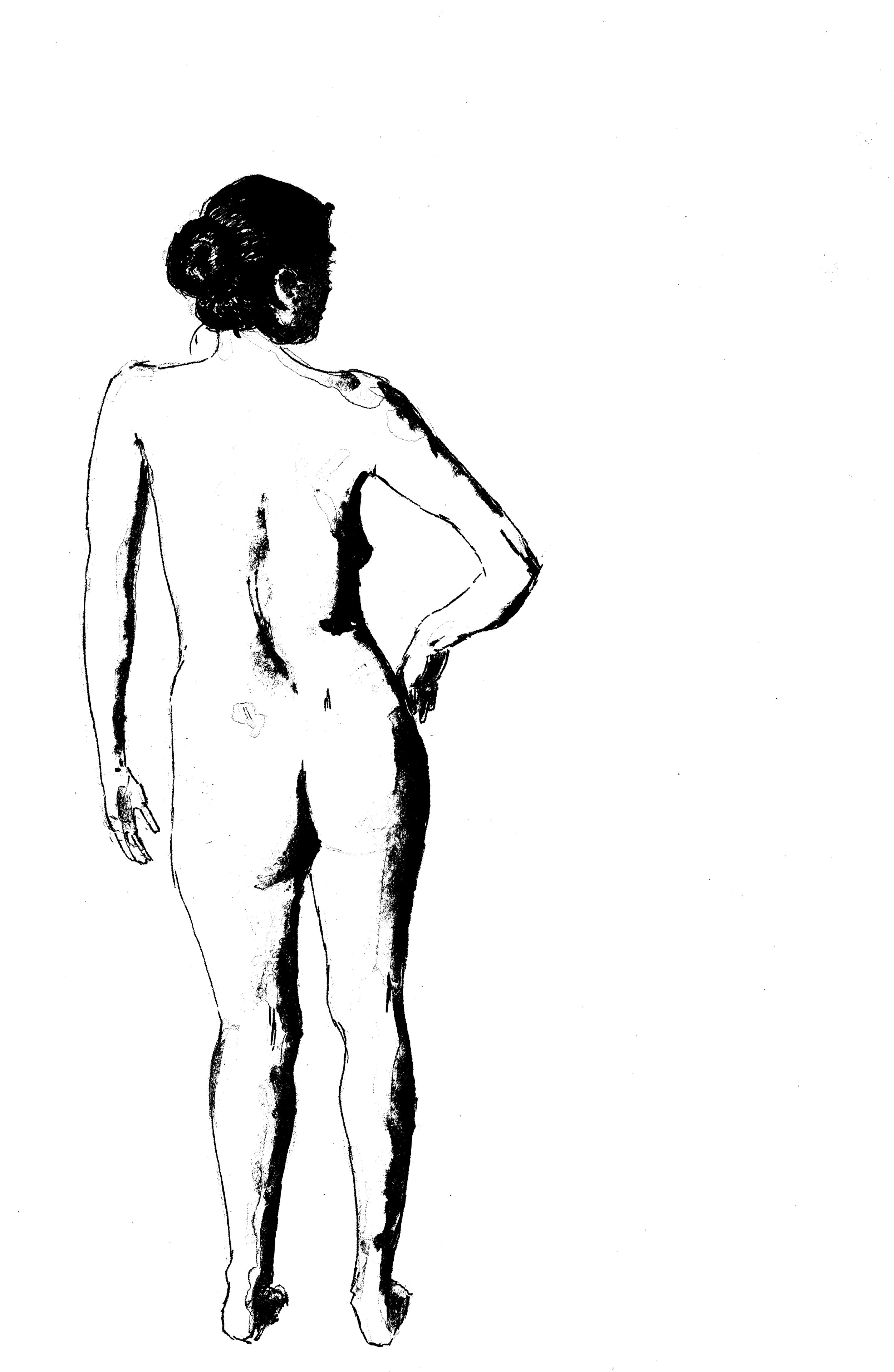 Nude with bun, pen and wash, 2016